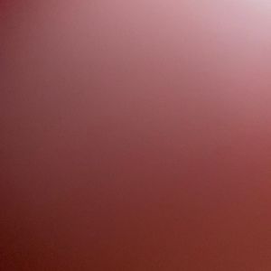 Meet your Posher, Sreya